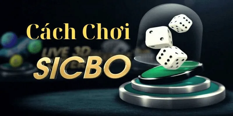 luat choi sicbo sanh rong go88 don gian min 11zon